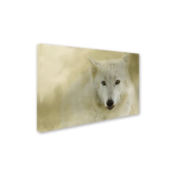 Jai Johnson 'Portrait Of A Timber Wolf' Canvas Art,16x24